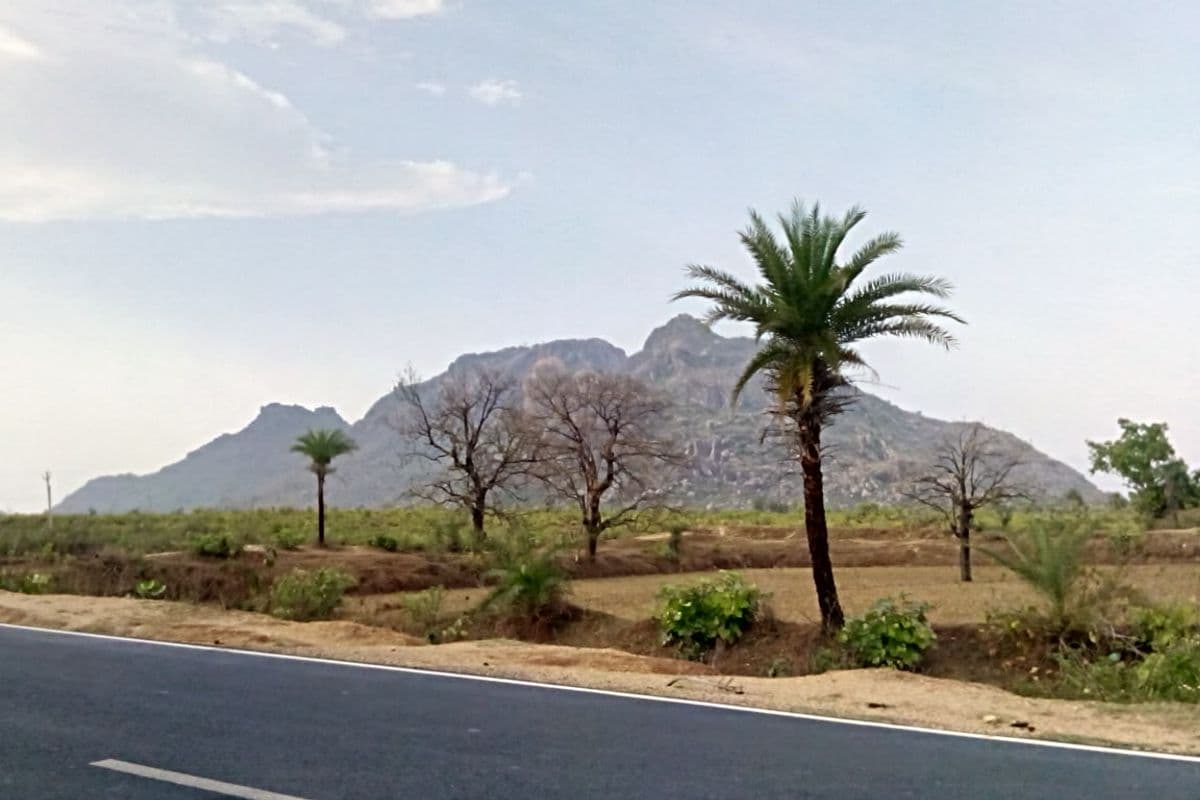 Trikut Pahad hills